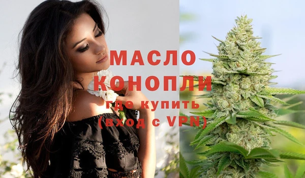 твердый Богородицк