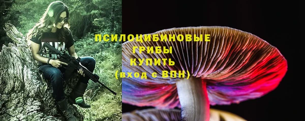 амфетамин Богданович