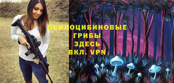синтетический гашиш Богородск