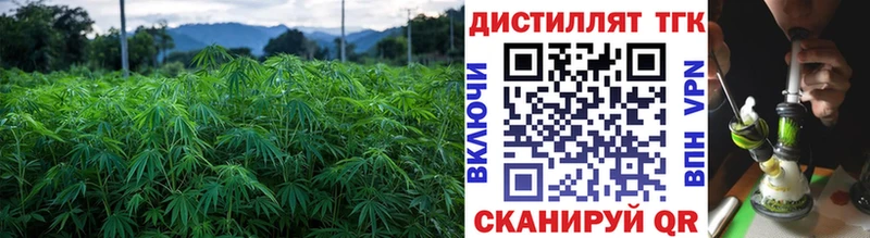 мега tor  Облучье  Дистиллят ТГК вейп  где можно купить  